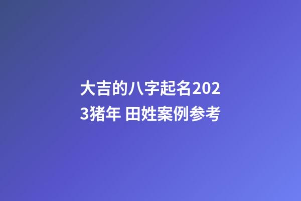 大吉的八字起名2023猪年 田姓案例参考
